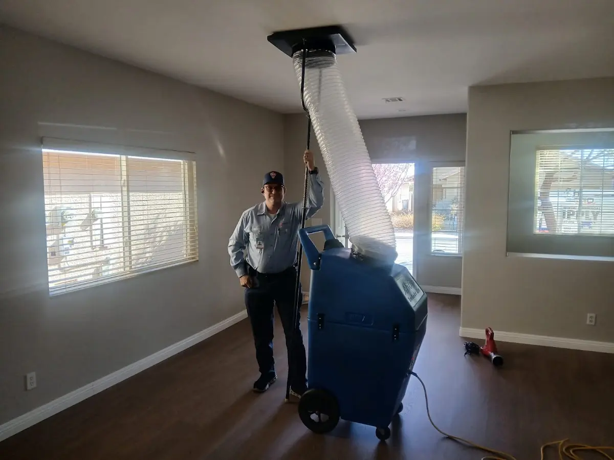 Professional Dryer Vent Cleaning work inside a Walpole home